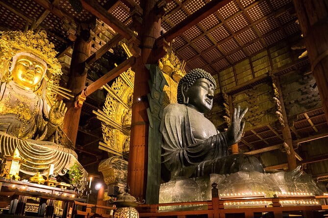 Nara 8hr Private Tour - Osaka DEP. with Licensed Guide - Key points to know before you book