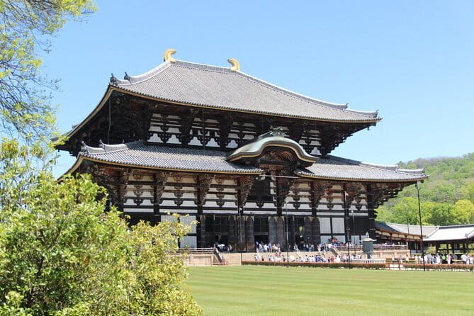 Nara Day Trip from Osaka with a Licensed Guide - Meeting the deer at Nara Park