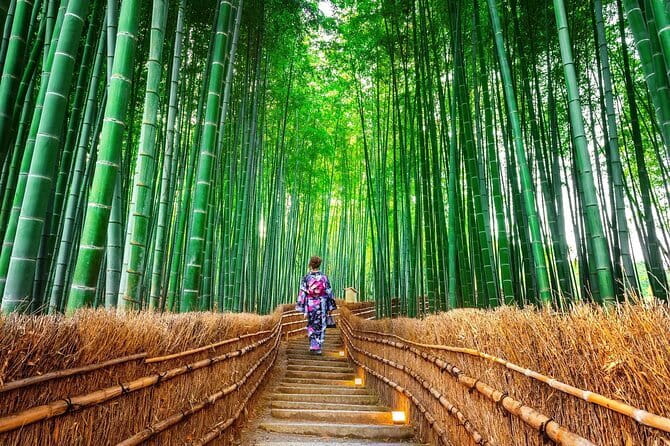 Nara Day Trip from Osaka with a Licensed Guide - Walking the approach to Kasuga Grand Shrine