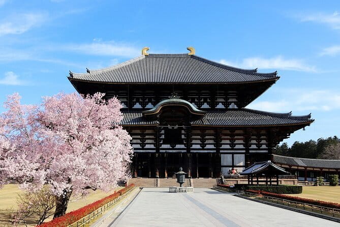Nara Day Trip from Osaka with a Licensed Guide - A quiet pause at Isuien Garden