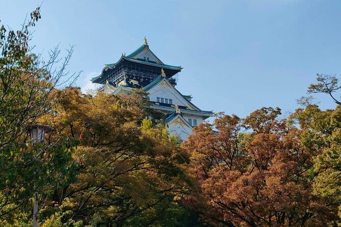 Nara Deer Park, Uji Matcha, & Hot Spring Full-Day Tour from Osaka - The guide can shape the whole day