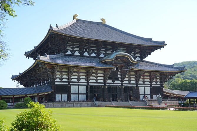 Nara Early Morning Tour (Osaka Departure Option) - Kasuga Grand Shrine and its thousands of lanterns