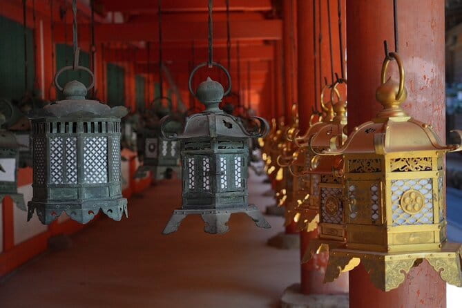 Nara Early Morning Tour (Osaka Departure Option) - The walking level and who should book