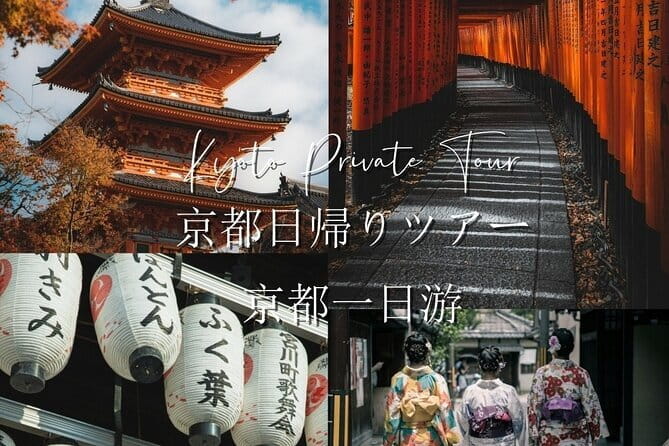 Nara Early Morning Tour (Osaka Departure Option) - What the guide adds to the morning