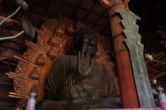 Nara Early Morning Tour (Osaka Departure Option) - Nara Park and the famous deer