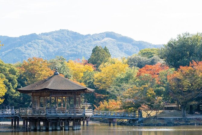 Nara : Private Day Walking Tour (From Osaka/Kyoto Possible) - How the private format affects the day