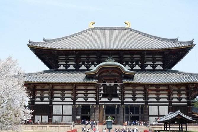 Nara Private Tour by Public Transportation from Osaka - Meeting Nara’s famous deer