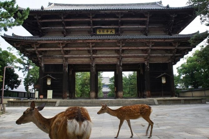 Nara Private Tour by Public Transportation from Osaka - Kasuga Grand Shrine’s lanterns and quiet paths