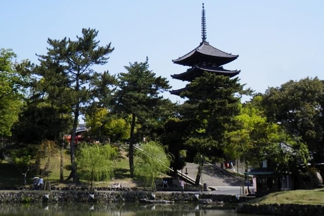 Nara Private Tour by Public Transportation from Osaka - What the $175.58 price really covers