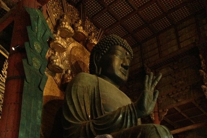 Nara private tour (Shore excursion available from Osaka or Kobe port) - Why a private Nara day works well from Osaka or Kobe