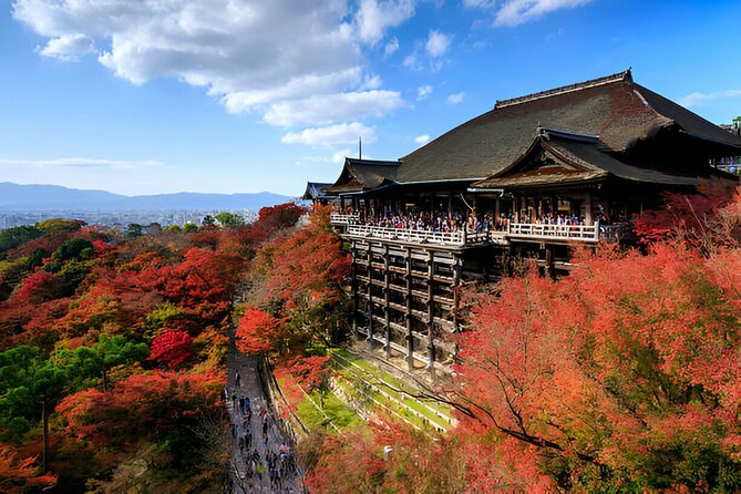 Nara Private Tour with Pick and Drop and English Speaking Driver - Naramachi, where the day slows down