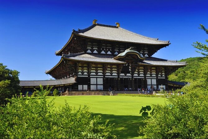 Nara, Todaiji Temple & Kuroshio Market Day BUS Tour from Osaka - Three Japanese experiences that rarely share a day