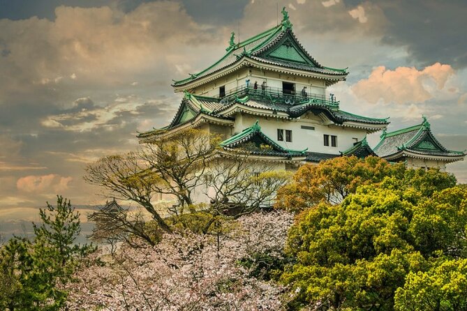Nara, Todaiji Temple & Kuroshio Market Day BUS Tour from Osaka - Price, extra fees, and real value