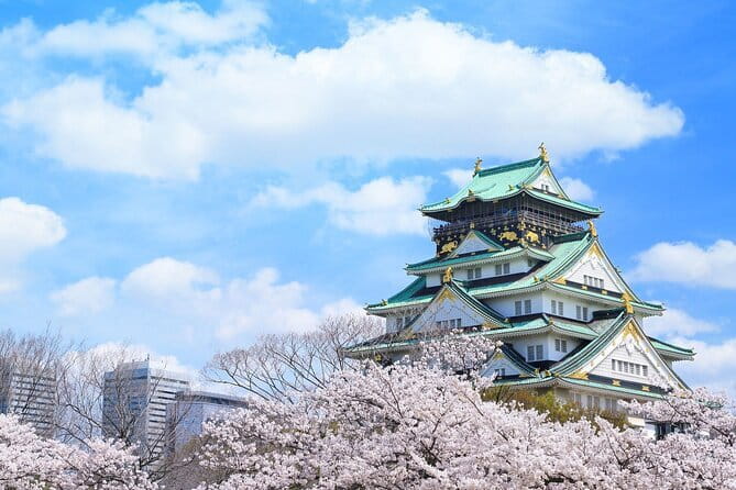 Official Japan Go-Kart Through Osaka Castle - Midosuji and the polished face of Minami
