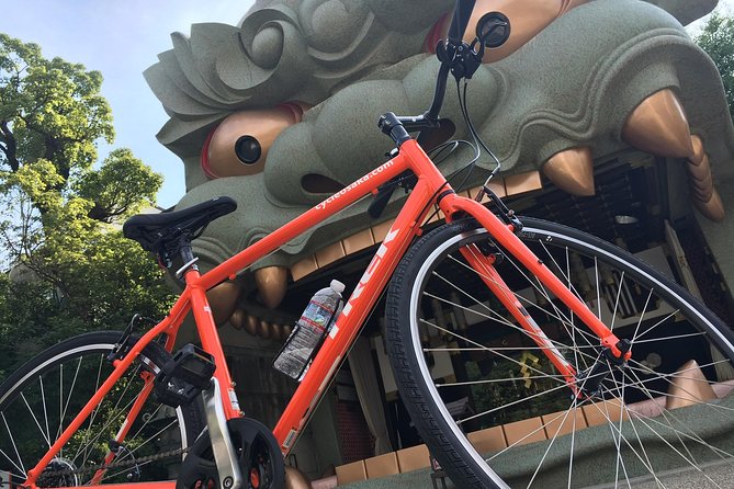 One-Day Osaka Bike Adventure: 5–6 Hours - Lunch is a useful pause, not an afterthought
