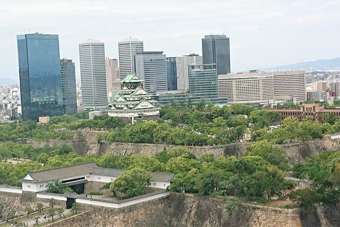 One-Day Walking Tour : Making Fun Memories in North Osaka - How the private guide changes the day