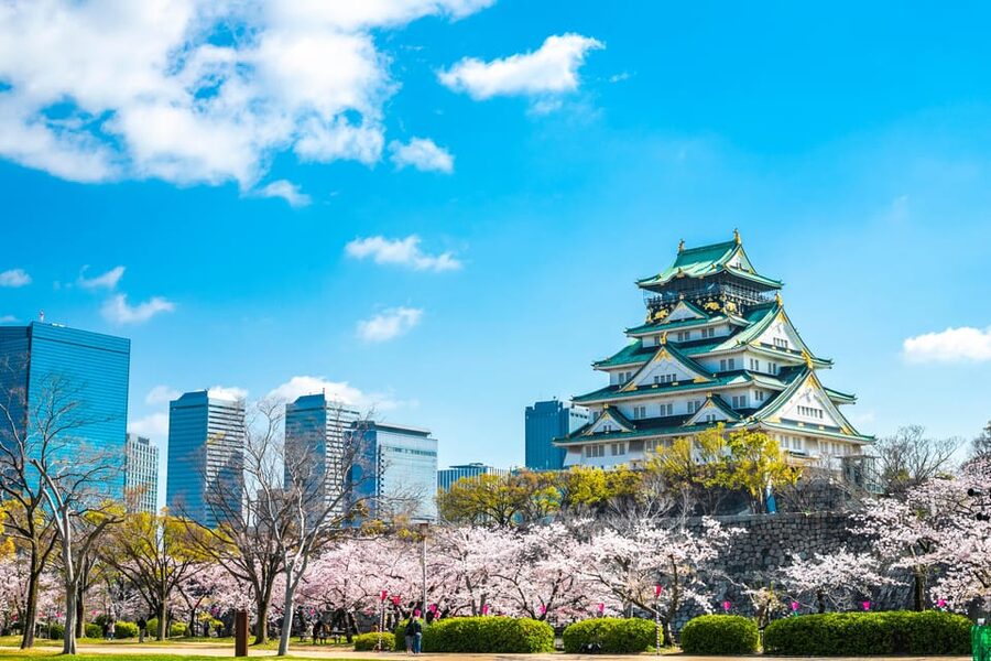 Osaka: 1-Day Private Customizable Trip by Car - Why a private car helps in Osaka