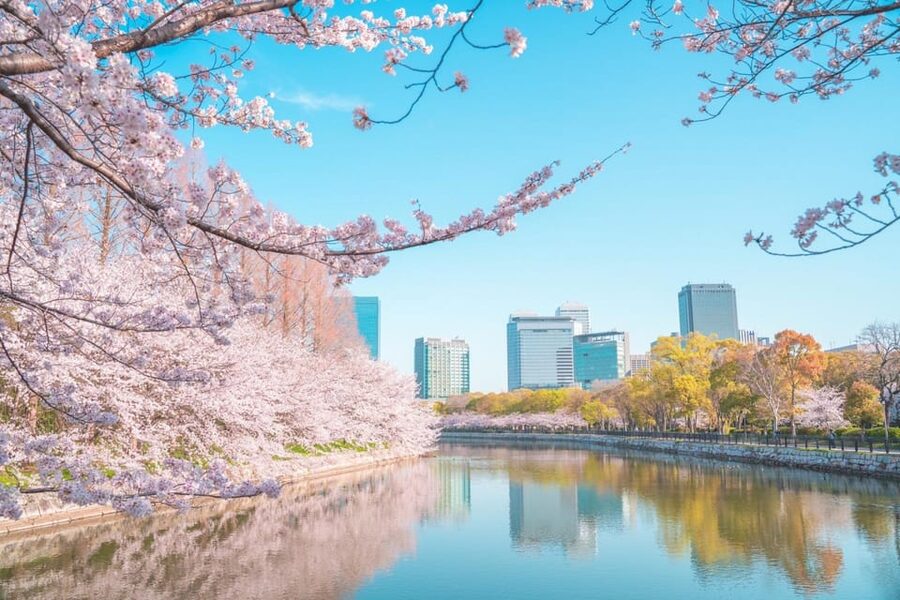 Osaka: 1-Day Private Customizable Trip by Car - Shitenno-ji and the southern districts