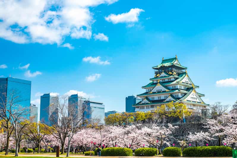 Osaka: 1-Day Private Customizable Trip by Car - Shinsekai in a short 30-minute stop
