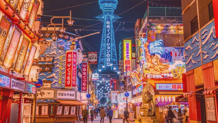 Osaka: 1-Day Private Customizable Trip by Car - Comfort, timing, and group size