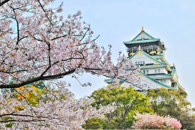 Osaka 6 hr Private Tour: English Speaking Driver Only, No Guide - Driver support without a private guide