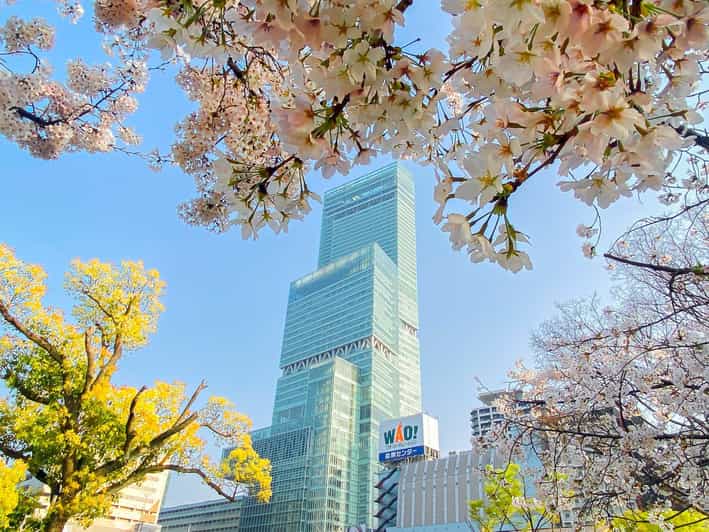 Osaka: Abeno Harukas 300 Observatory E-Ticket - The 60th-floor glass deck