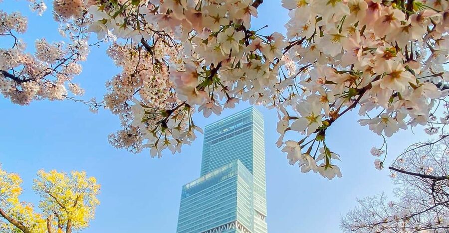 Osaka: Abeno Harukas 300 Observatory E-Ticket - Fresh air on the 58th-floor outdoor plaza