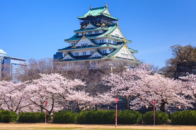 Osaka and Kansai Private Customized Day Tour - Vehicle size and group comfort