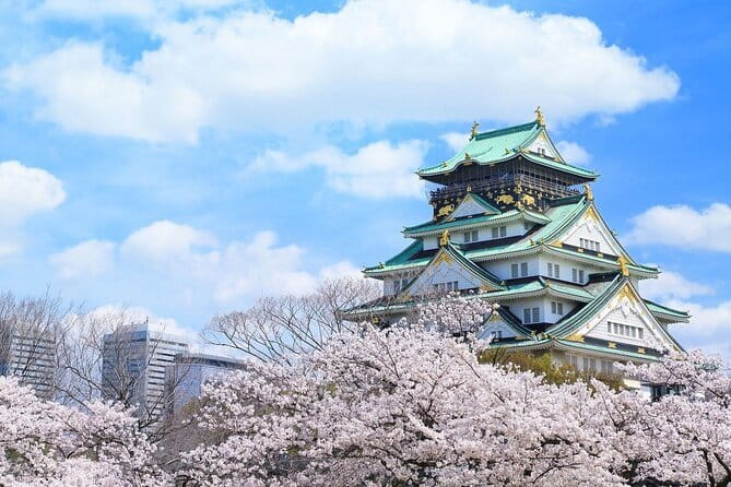 Osaka and Nara Attractive One Day private Tour - Osaka Castle: an important symbol with a modern interior