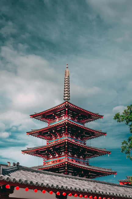 Osaka and Nara Customized Private tour with English Driver - What the driver service really provides