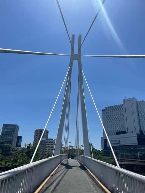Osaka: Bike Adventure with Lunch - Lunch at a local Osaka eatery