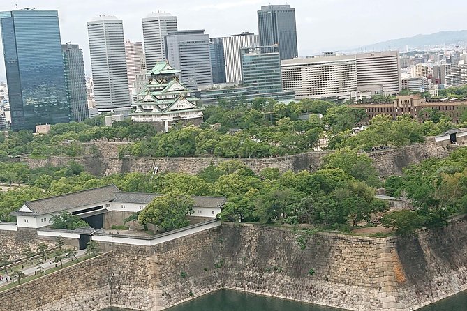 Osaka Castle & Dotonbori Lively One-Day Walking Tour - Key points to know before booking