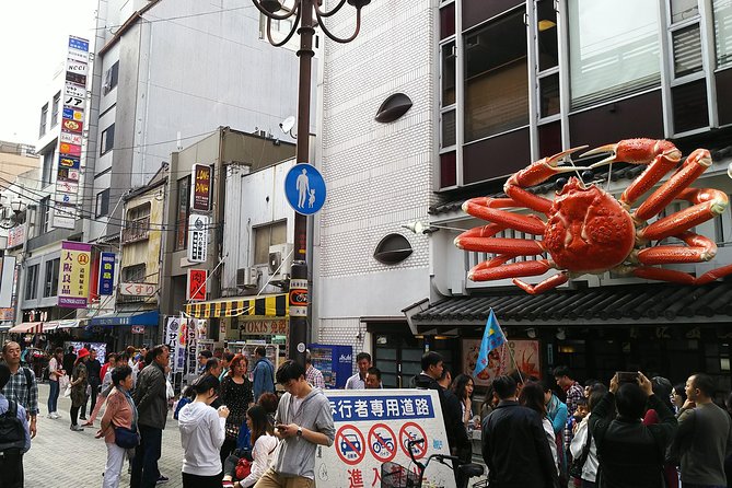 Osaka Castle & Dotonbori Lively One-Day Walking Tour - A seven-hour introduction to Osaka’s two personalities