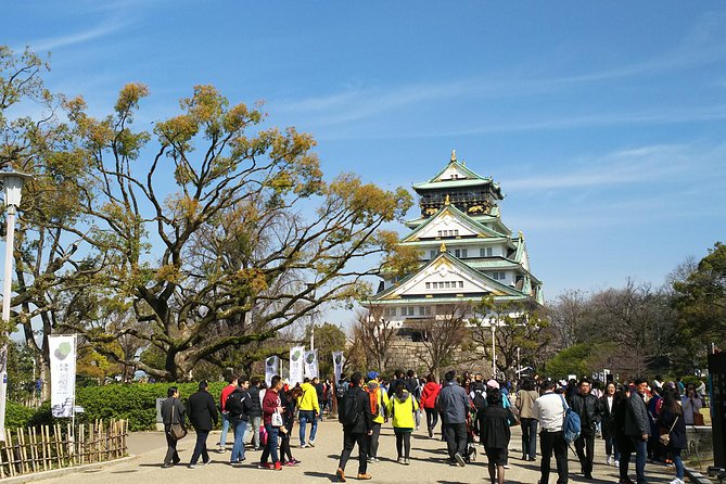 Osaka Castle & Dotonbori Lively One-Day Walking Tour - Dotonbori: finishing among the lights