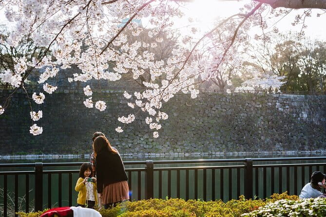 Osaka Castle & Samurai History Walking Tour - Why Osaka Castle matters beyond the postcard view