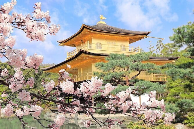 Osaka Castle & Samurai History Walking Tour - Hokoku Shrine and Toyotomi Hideyoshi’s legacy