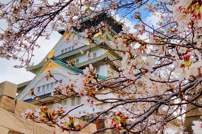 Osaka Castle & Temple Walking Tour with Multilingual Audio Guide - Weather, comfort, and booking details