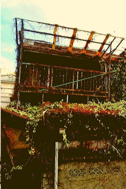 Osaka: Deep Backstreets Walking Tour with Dinner Option - The abandoned properties reveal a forgotten Osaka