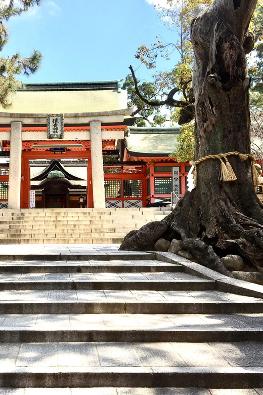 Osaka: Full-Day Private Guided Tour of the Historical City - What the private guide adds
