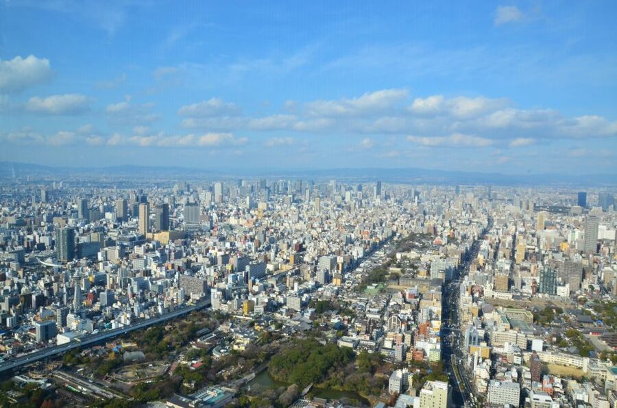 Osaka: Full-Day Sightseeing Tour by Private Vehicle - The guides are a major part of the value