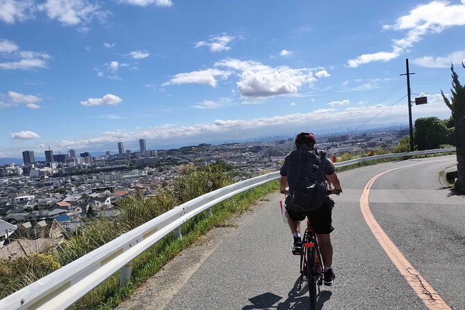 Osaka Half-day E-bike Adventure: Minoh Falls & Katsuoji Temple - Key points to know before you book