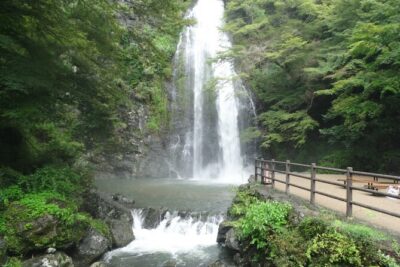 Osaka Half-day E-bike Adventure: Minoh Falls & Katsuoji Temple