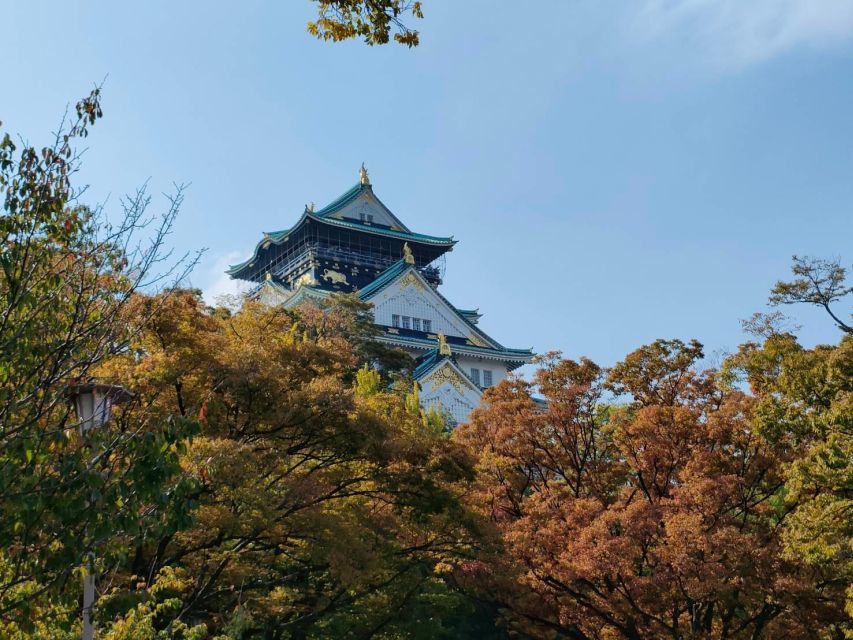 Osaka: Half-day Ultimate Highlights Guided Walking Tour - Namba and Shinsaibashi show Osaka’s shopping culture