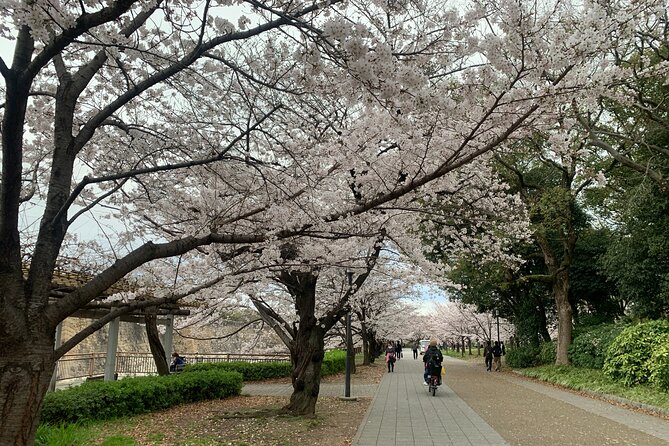 Osaka Highlights: 4Hrs Guided Walking Tour with a Native Expert - Hokoku Shrine and the Toyotomi connection