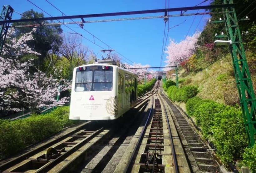 Osaka/Kyoto: Amanohashidate & Miyama Tour with Boat & Lunch - The bus ride is part of the bargain