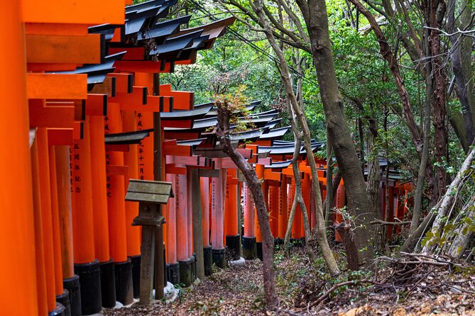 Osaka/Kyoto: Arashiyama, Fushimi Inari & Nara Park Day Trip - Is $57 a fair price?