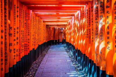 Arashiyama, Nara Park, Fushimi Shrine Tour
