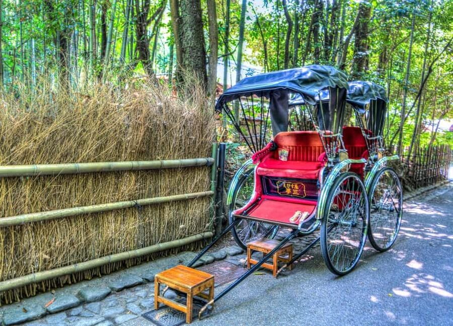 Osaka/Kyoto: Arashiyama, Nara Park, Fushimi Shrine Tour - Guides, languages, and the level of help