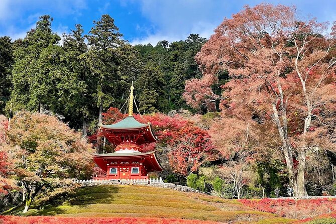 Osaka / Kyoto: Katsuoji, Arashiyama & Kinkaku-ji One Day Tour - Kinkaku-ji is a strong final image