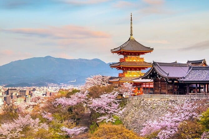 Osaka & Kyoto & Nara Top Hightlights English Speaking Tour - Key points to know before booking